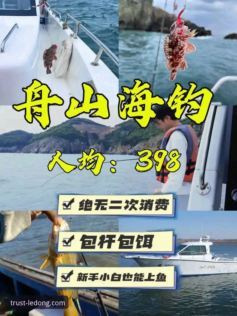 乐动体育平台新手完整指南：从下载到玩转的便捷体验评测